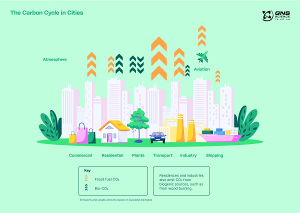 Urban Carbon Cycle