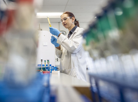 Microbiology Lab image