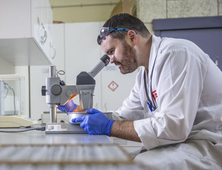 Henry Gard using Microscope in Lab