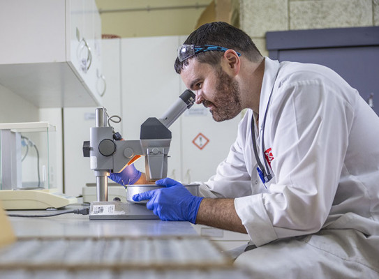 Henry Gard using Microscope in Lab