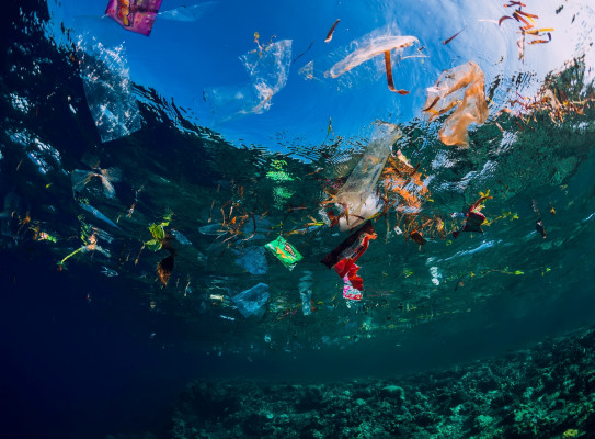 EnC PlasticOcean small