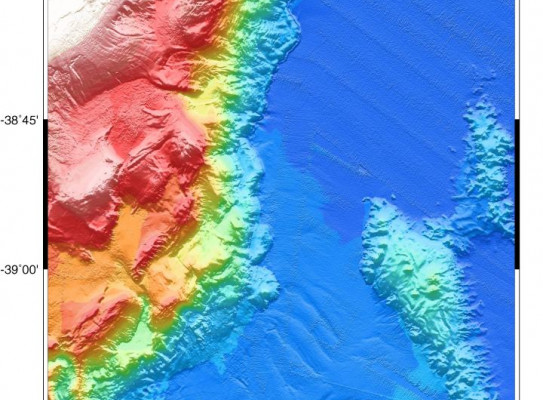 Hikurangi Trough