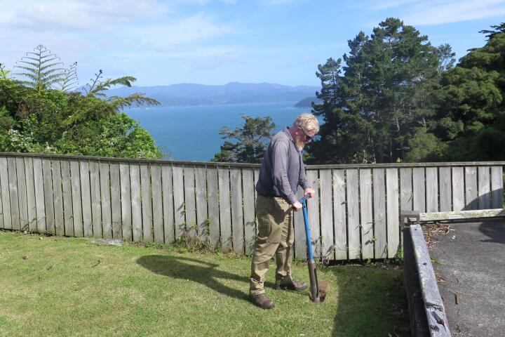 Urban geochemical atlas backyard sample