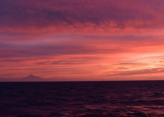 IMage+at+dawn