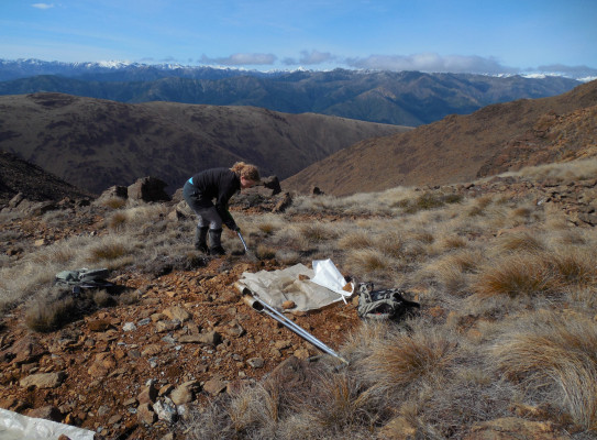 JE 800 soil samples