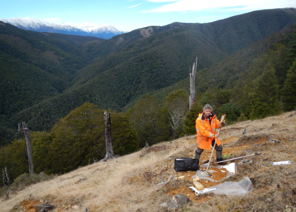 Mark Rattenbury collects a soil sample for geochemical analysis in the Red Hills Nelson credit Rose Turnbull GNS Science