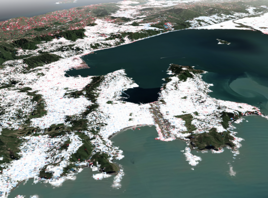 Our Changing Coast Wellington InSAR