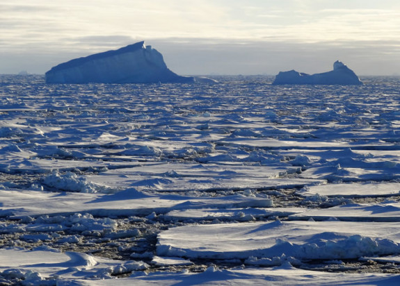 sea ice