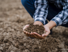 soil stock photo envato