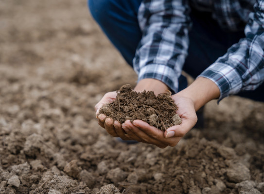 soil stock photo envato