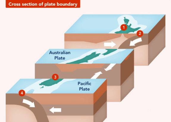 Cross section of plate boundary