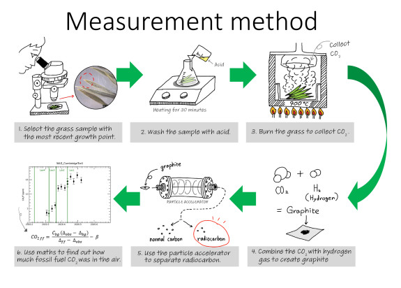 GrassMeasurementSlide