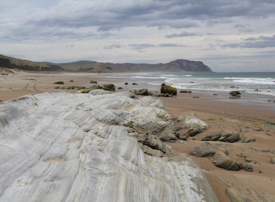 2016 01 08 283 Whakataki Fmn Herbertville Beach