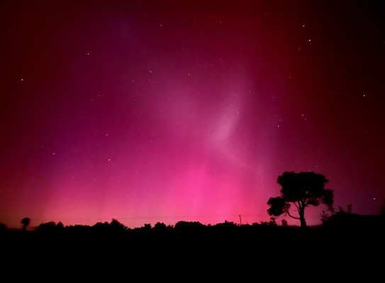 Aurora Australis