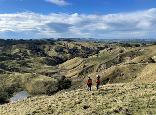 ESNZ engineering geologists Chris Massey and Kerry Leith survey Cyclone Gabrielle landslides in Hawkes Bay (web)
