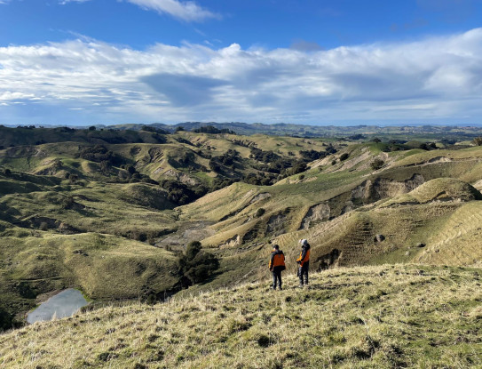 ESNZ engineering geologists Chris Massey and Kerry Leith survey Cyclone Gabrielle landslides in Hawkes Bay (web)