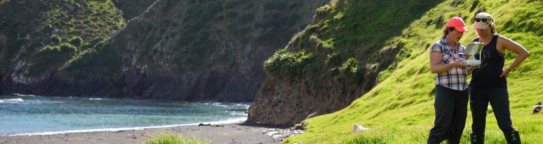 Landscapes and Seascapes