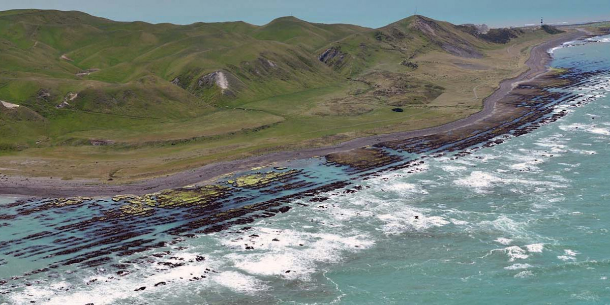 Pacific ocean tsunami alert
