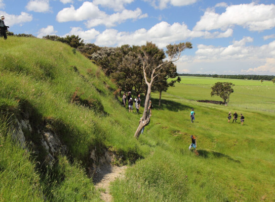 Students learning about the Wairarapa Fault at Pigeon Bush