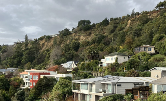 Tahunanui