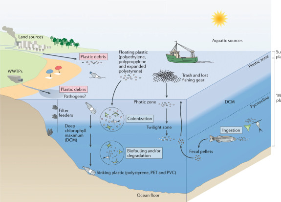 cycle microplastics