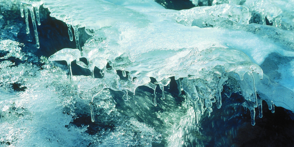 Future of Antarctic plankton linked to sea ice, study shows - Earth ...