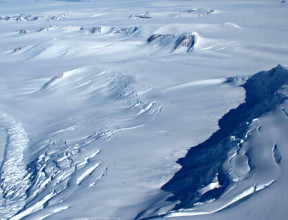 Antarctica - Ice Sheet - Snow