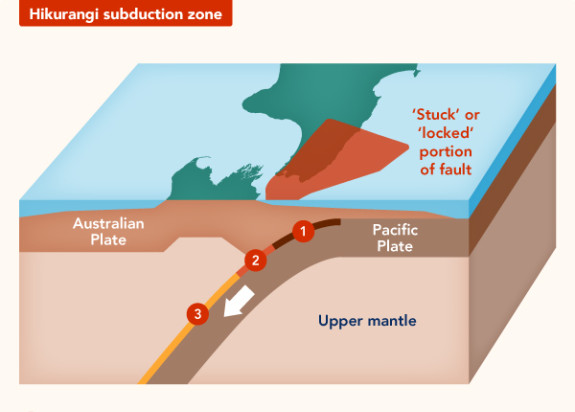 NHR7 Hikurangi subduction zone FA
