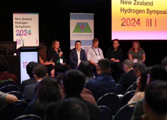 NZHS2024 1