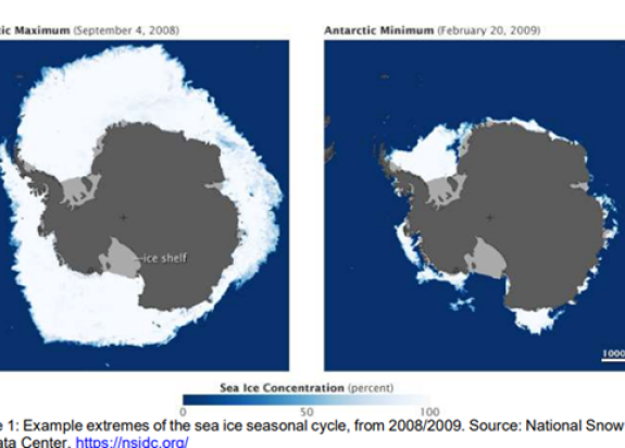 Sea ice examples