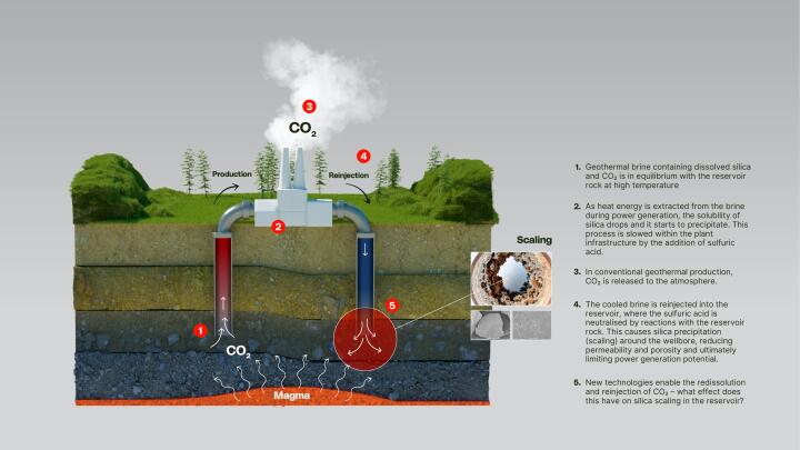 Smart Ideas David Byrne