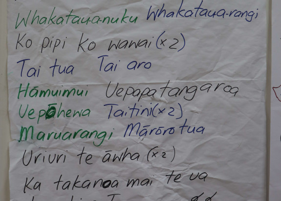 Tuhura Papatuanuku Geo Noho 73