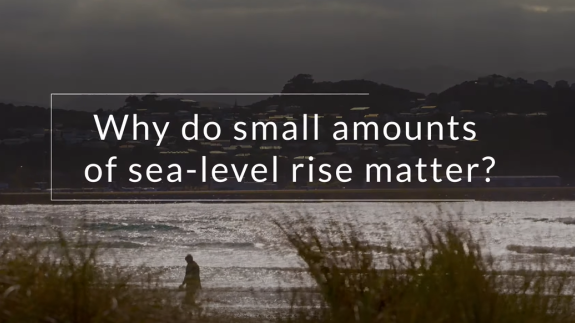 sea level thumb